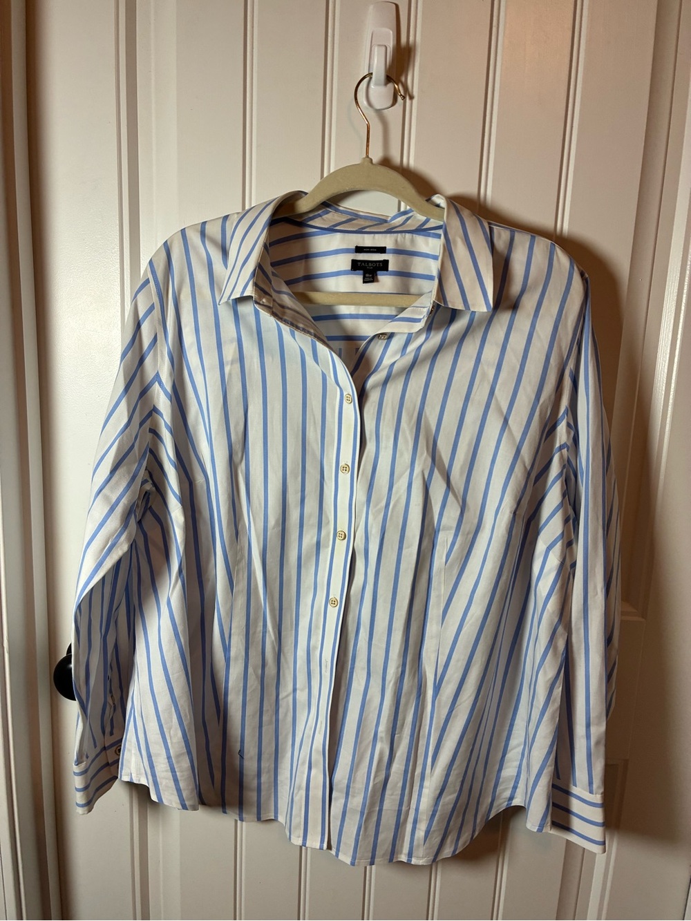 Talbots Blue and White Striped Button-Front Shirt
